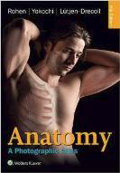 Anatomy: A Photographic Atlas (Color
Atlas of Anatomy a Photographic Study of the
Human Body)-Rohen