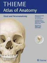 Atlas of Anatomy : Head and
Neuroanatomy - Thieme