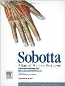 Atlas of Human Anatomy - 3 Vol -
Sobotta