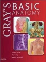 Basic Anatomy - Gray's