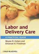 Labor and Delivery Care: A Practical
Guide