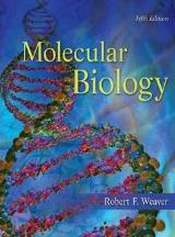 Molecular Biology - Weaver