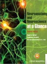 Neuroanatomy and Neuroscience at a
Glance