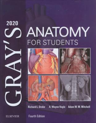 Gray's Anatomy for Students 2024