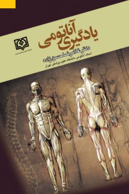 یادگیری آناتومی 