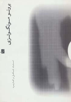 برونو مونگوتزی (استاد شکل و کاربرد)