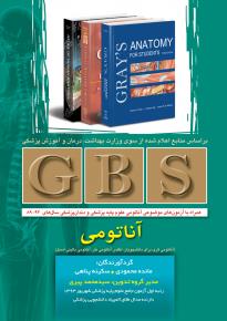 GBS آناتومی- نوروآناتومی