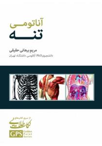 GPS آناتومی تنه