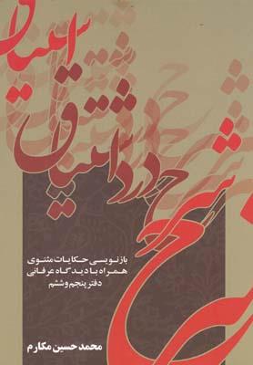 شرح درد اشتیاق (دفتر پنجم‌ و‌ ششم)